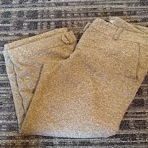 Ann Taylor Dress capris